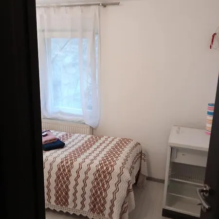 公寓 Nice And Cozy 2 Bedrooms Downtown Cluj-n
