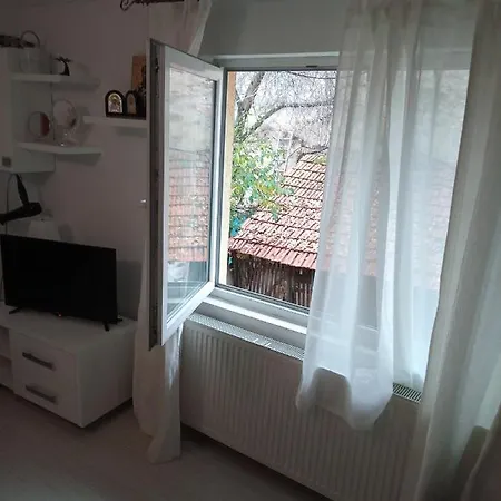 公寓 Nice And Cozy 2 Bedrooms Downtown Cluj-n