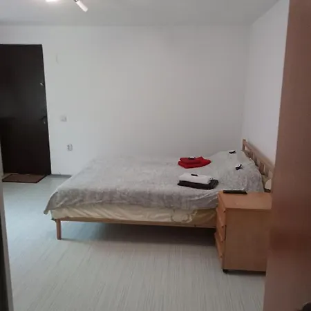 Nice And Cozy 2 Bedrooms Downtown Cluj-n 公寓