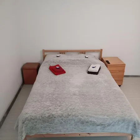 Nice And Cozy 2 Bedrooms Downtown Cluj-n * 克卢日-纳波卡