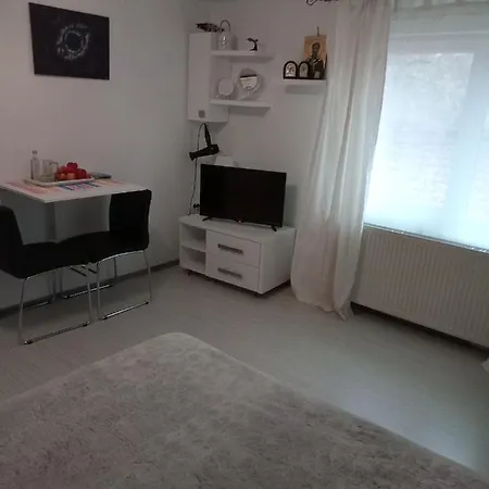 Nice And Cozy 2 Bedrooms Downtown Cluj-n *