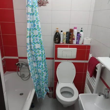 Nice And Cozy 2 Bedrooms Downtown Cluj-n * 克卢日-纳波卡