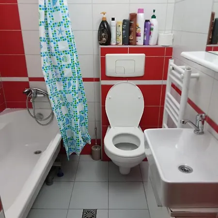 Nice And Cozy 2 Bedrooms Downtown Cluj-n 公寓