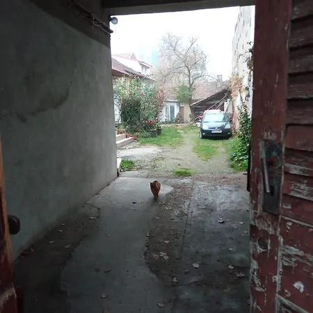 Nice And Cozy 2 Bedrooms Downtown Cluj-n *