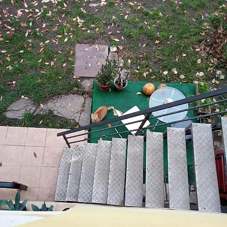 Nice And Cozy 2 Bedrooms Downtown Cluj-n * 클루지나포카