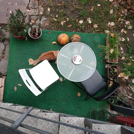 Nice And Cozy 2 Bedrooms Downtown Cluj-n *