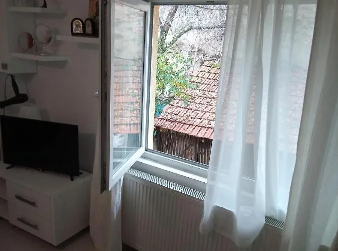 Lägenhet Nice And Cozy 2 Bedrooms Downtown Cluj-n