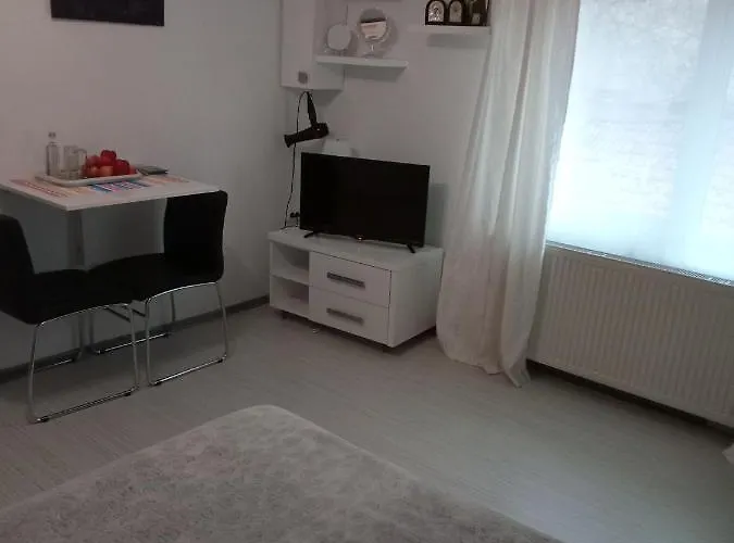 Nice And Cozy 2 Bedrooms Downtown Cluj-n *