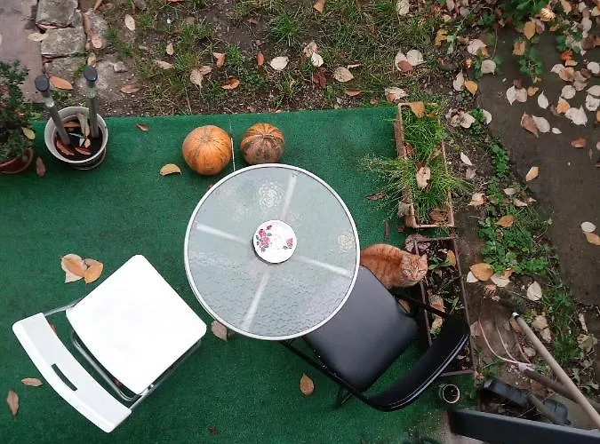 Appartement Nice And Cozy 2 Bedrooms Downtown Cluj-n