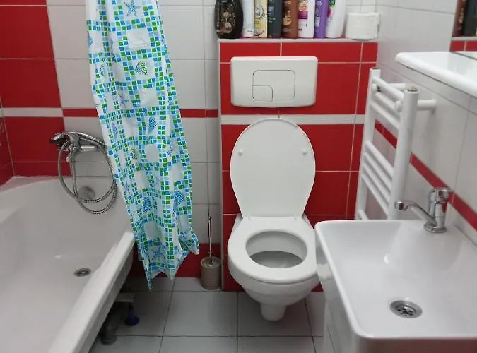 Nice And Cozy 2 Bedrooms Downtown Cluj-n Daire