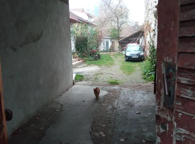 Nice And Cozy 2 Bedrooms Downtown Cluj-n *