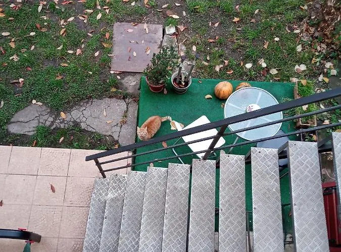 Nice And Cozy 2 Bedrooms Downtown Cluj-n * Cluj-Napoca