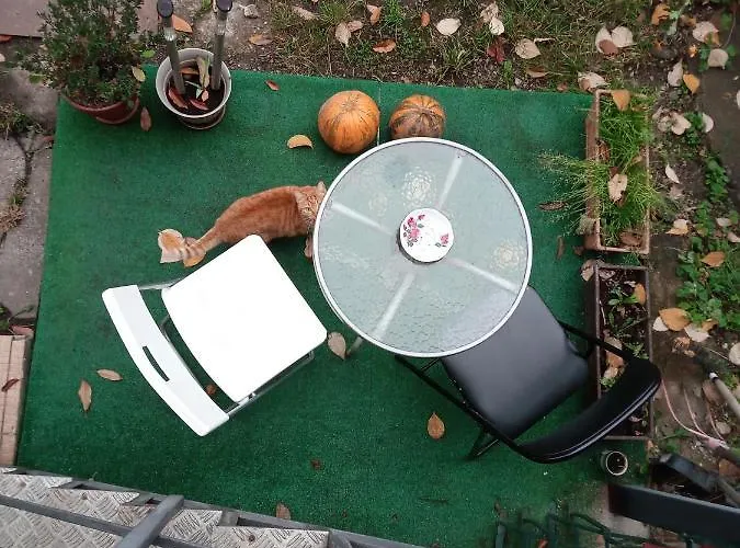 Nice And Cozy 2 Bedrooms Downtown Cluj-n *