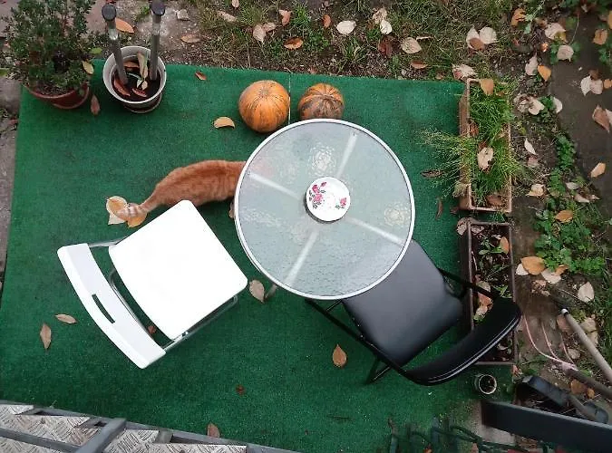 Appartement Nice And Cozy 2 Bedrooms Downtown Cluj-n *